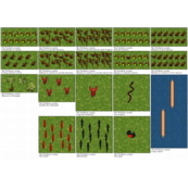 Die Korsaren des Nordens