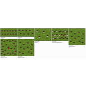 Das gro&szlig;e Krabbeln