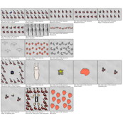 Schrecken der Antarktis