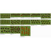 Das schwarze K&ouml;nigreich