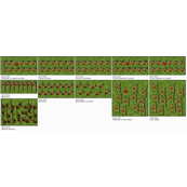 Die L&ouml;wenmenschen