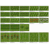 Wilde Echsenst&auml;mme