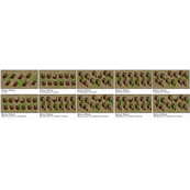 Buluga - Bulugu - gro&szlig;e Nationen