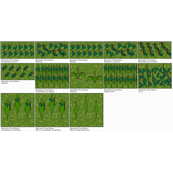 Rawindra - Wilde Sritras