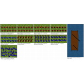 Die Piraten des Gwoling-Archipels