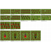 Die Piraten des Gwoling-Archipels