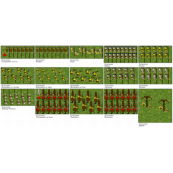 I/55 Cumae (680-449 v. Chr.)