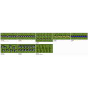 III/40b Wikinger (850 - 1280)