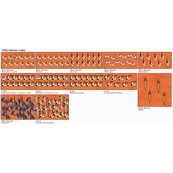 Weisse Marsianer - Die Heiligen Thern